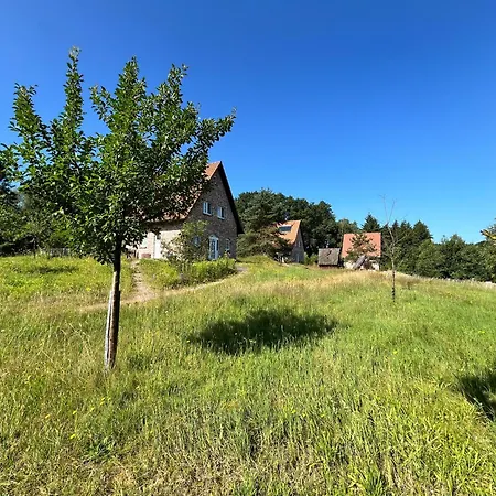 Haus Weissdorn Im Bispinger Heidezauber Holiday home *